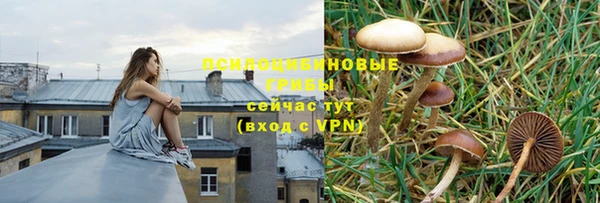 mix Алексин