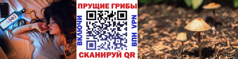 наркошоп  Кирово-Чепецк  Псилоцибиновые грибы мухоморы 