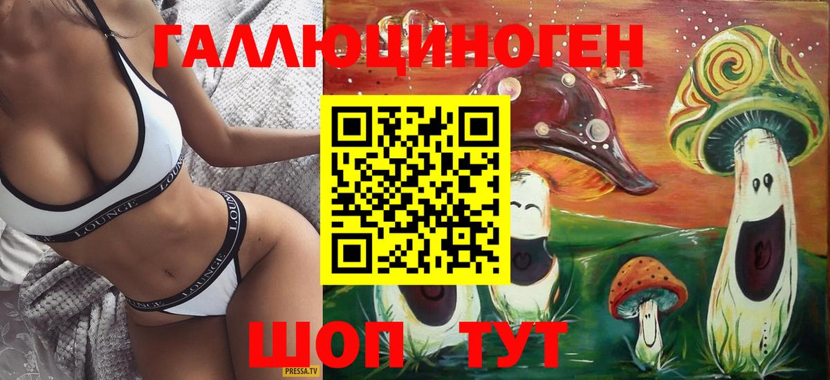 Кирово-Чепецк  Псилоцибиновые грибы Psilocybine cubensis  Вход с VPN 