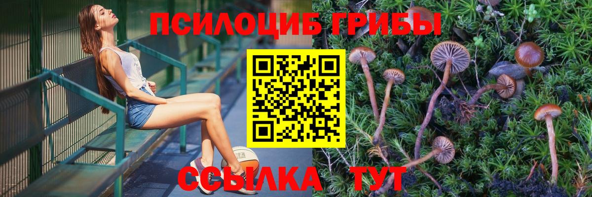 МЕТАДОН Кирово-Чепецк