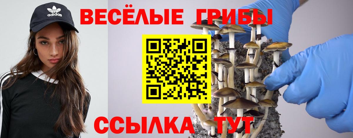Галлюциногенные грибы Magic Shrooms Кирово-Чепецк