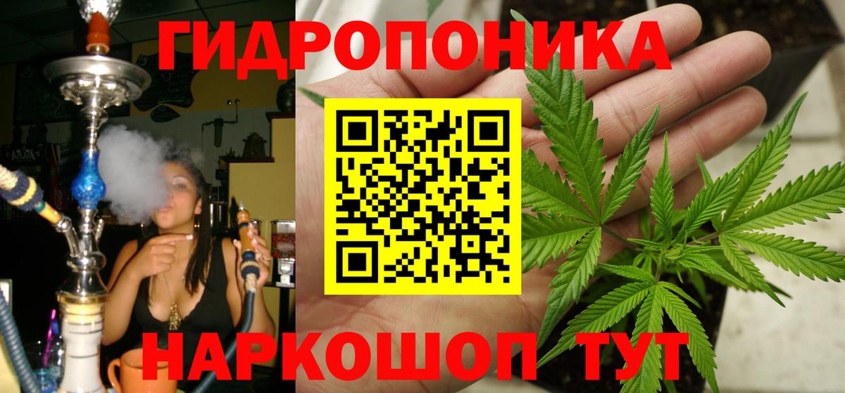 Шишки марихуана планчик  Вход с VPN  Кирово-Чепецк  Шишки марихуана марихуана  МАРИХУАНА Amnesia 
